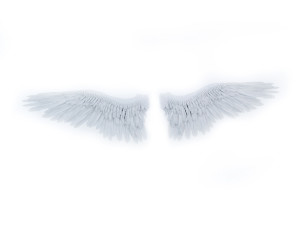 angel or bird wings 3D Модель