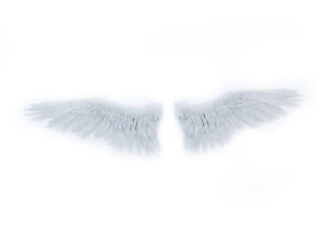 angel or bird wings 3D Model
