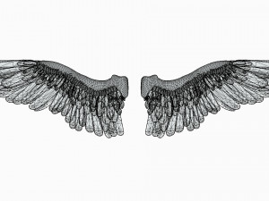 angel or bird wings 3D Модель