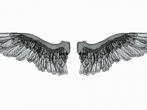 angel or bird wings 3D Model