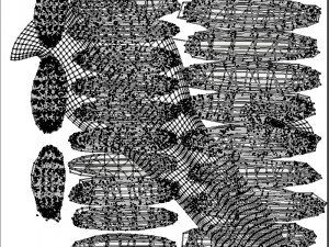 angel or bird wings 3D Модель