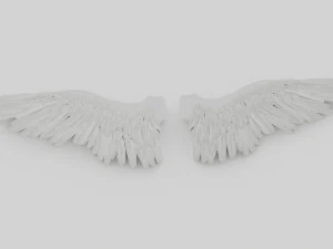 angel or bird wings 3D Model
