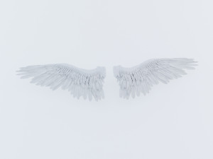 angel or bird wings 3D Модель