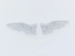 angel or bird wings 3D Model