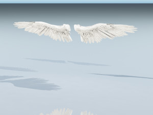 angel or bird wings 3D Модель