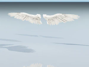 angel or bird wings 3D Model