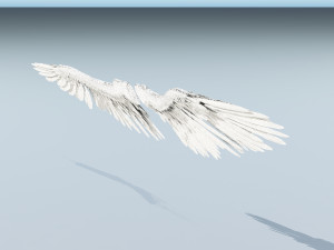 angel or bird wings 3D Модель