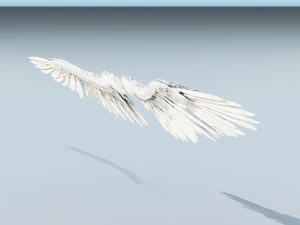 angel or bird wings 3D Model