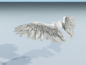 angel or bird wings 3D Модель