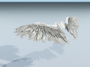 angel or bird wings 3D Model