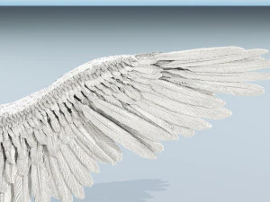 angel or bird wings 3D Model