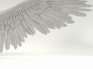 angel or bird wings 3D Модель