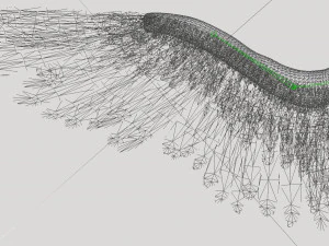 angel or bird wings 3D Model
