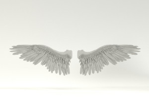 angel or bird wings 3D Модель