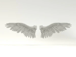 angel or bird wings 3D Model