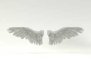 angel or bird wings 3D Модель