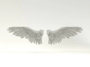 angel or bird wings 3D Model