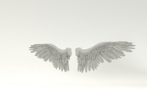 angel or bird wings 3D Модель