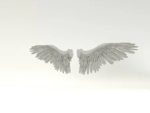 angel or bird wings 3D Model
