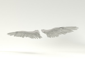 angel or bird wings 3D Модель