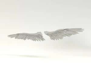 angel or bird wings 3D Model