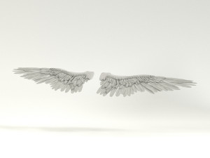 angel or bird wings 3D Модель