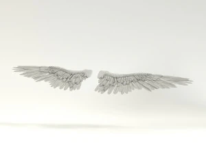 angel or bird wings 3D Model