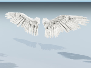 angel or bird wings 3D Модель