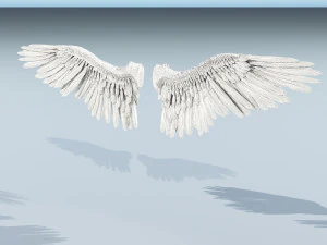 angel or bird wings 3D Model
