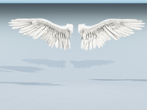 angel or bird wings 3D Модель
