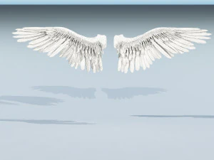 angel or bird wings 3D Model