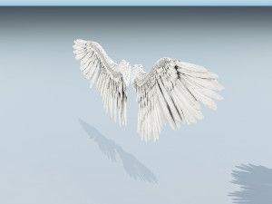 angel or bird wings 3D Модель