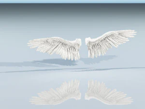 angel or bird wings 3D Model