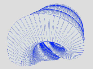 mystic shell 3D Модель