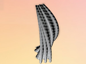 wave wall building 3D 模型
