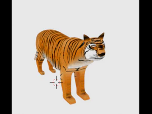 tigre de bengala indiano Modelo 3D