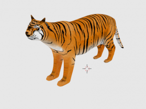indian bengal tiger 3D Model