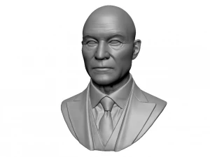 Чарльз Ксавье, профессор х 3D Принт Модель