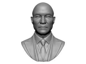 charles xavier professor x 3D Print Model