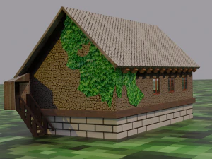 medieval village house 3D Model