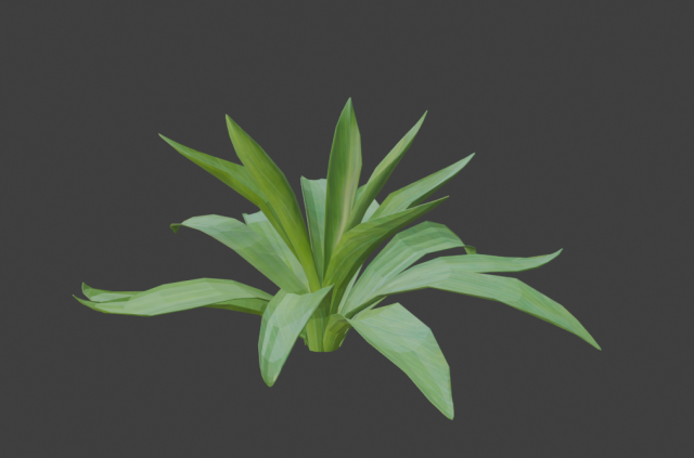 agave 3Dモデル .c4d .max .obj .3ds .fbx .stl .blend 