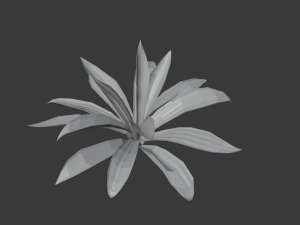 agave 3Dモデル