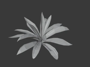 agave 3D Model