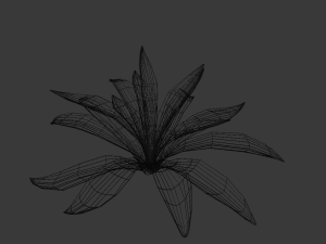 agave 3Dモデル