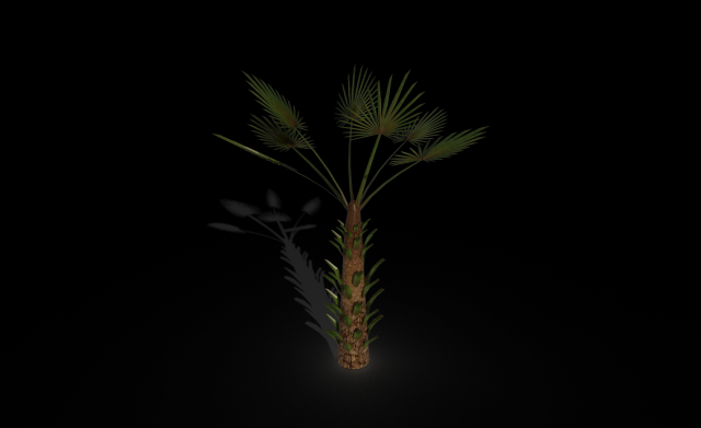 palm tree 3D Модель .c4d .max .obj .3ds .fbx .stl .blend 