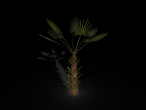 palm tree Model 3D