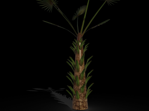 palm tree 3D Модель