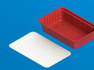 Plastic box-container 3D Принт Модель