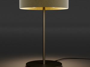 table light 9 Model 3D