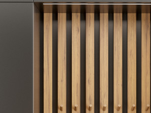 hall furniture 4 3Dモデル